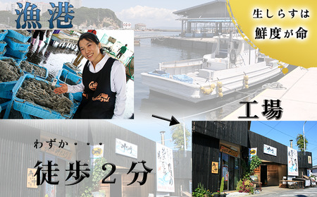 生しらす お刺身 400g 小分け 岬だより 生しらす刺し身