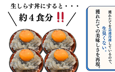 生しらす お刺身 400g 小分け 岬だより 生しらす刺し身