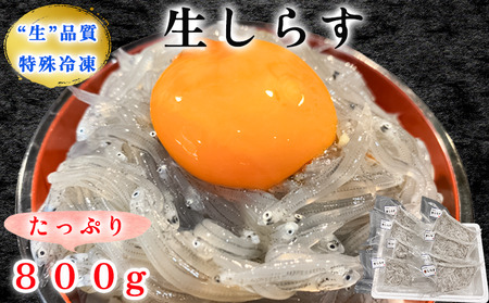 生しらす (お刺身) 800ｇ(100ｇ×8個) 岬だより [配送不可地域：離島]