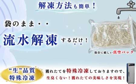 生しらす (お刺身) 800ｇ(100ｇ×8個) 岬だより [配送不可地域：離島]