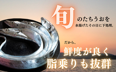 【南知多漁港直送】天然太刀魚 塩焼き用 2切×5袋セット〈下処理済・急速冷凍〉岬だより