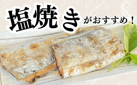 【南知多漁港直送】天然太刀魚 塩焼き用 2切×5袋セット〈下処理済・急速冷凍〉岬だより
