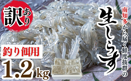 岬だより 生しらす 釣り餌用 200g×6袋
