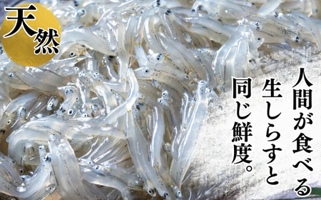 岬だより 生しらす 釣り餌用 200g×6袋