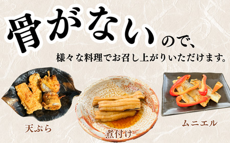 【南知多漁港より直送】天然太刀魚開き 4枚×6袋セット（骨取り済・特殊冷凍）