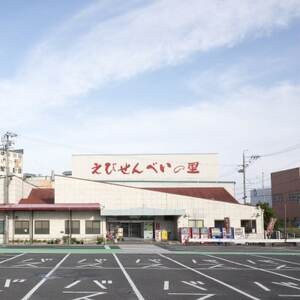 【美浜町・南知多町共通返礼品】えびせんいろいろ10個パック(280g×10袋)えび里小袋付き ( えびせんべい 海老煎餅 海老せんべい エビ煎餅 えび煎餅 エビせんべい 魚介 えびせんべい 海鮮 お菓子 海老 えび エビ おやつ 海老せんべい えび せんべい ギフト おすすめ 人気 ふるさと納税えびせんべい 愛知県南知多町 南知多 愛知 えびせんいろいろ えびせんべいの里 贈答)