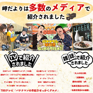 岬だより 高級珍味 海鼠腸(このわた)4本セット「日本三大珍味」