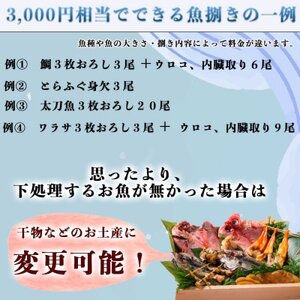 岬だよりの 釣ったお魚プロが代わりに下処理します 魚捌き券(15000円相当)