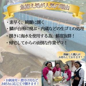 岬だより 釣ったお魚プロが代わりに下処理します 魚捌き券(15000円相当)