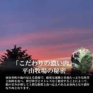牛肉 切り落とし 400g×2P 800g (4人前) 南知多マザービーフ 経産牛 国産牛 牛 お肉 肉 ご飯 ごはん おかず 数量限定 切り落とし