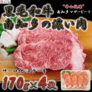 牛肉 サーロイン ステーキ 170g×4枚 南知多マザービーフ 国産牛 牛 お肉 肉 ご飯 ごはん おかず 料理 調理 ご褒美 数量限定 ステーキ