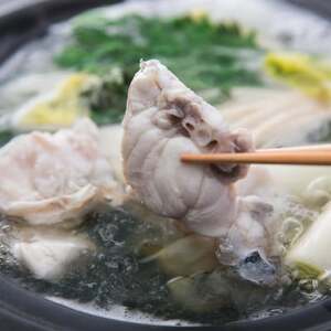 とらふぐ ちり鍋 セット 2尾 (3～5人前) 冷蔵