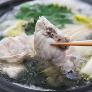 とらふぐ ちり鍋 セット 1尾 (2～3人前) 冷蔵