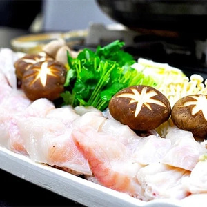 とらふぐ ちり鍋 セット 1尾 (2～3人前) 冷蔵