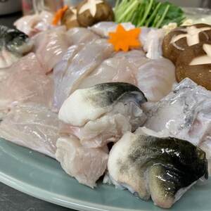 とらふぐ ちり鍋 セット 1尾 (2～3人前) 冷蔵