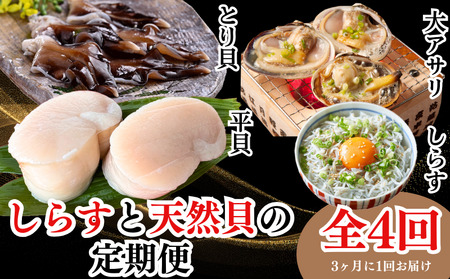 発送月固定定期便 しらすと天然貝の定期便 全4回