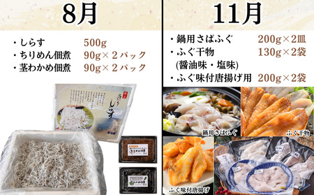 発送月固定定期便 しらすと天然貝の定期便 全4回