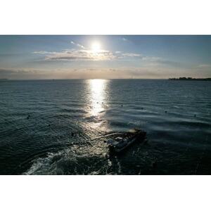 日間賀島 焼き海苔 20枚 × 3袋 半切り 一番摘み のり 海苔 焼きのり おかず お供 海藻 ご飯 ごはん 料理 人気 焼き海苔