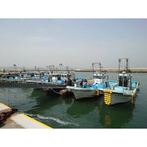 日間賀島 しらす 720g ( 60g×12 パック ) 小分け 冷凍 使い切り 愛知県 南知多町 ご飯 ごはん パスタ ピザ シラス