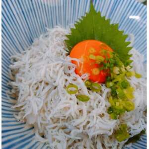 日間賀島 しらす 720g ( 60g×12 パック ) 小分け 冷凍 使い切り 愛知県 南知多町 ご飯 ごはん パスタ ピザ シラス