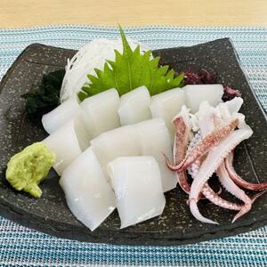 剣先イカ 2袋 小分け 冷凍 アカイカ 刺身 ケンサキイカ ふらい にもの イカ 料理 おかず 天ぷら フライ 愛知県 愛知県産 イカ