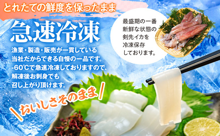 剣先イカ 3袋 小分け 冷凍 アカイカ 刺身 ケンサキイカ ふらい にもの イカ 料理 おかず 天ぷら フライ 愛知県 愛知県産 イカ