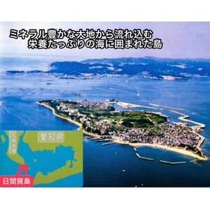 日間賀島名産・島のり 味付け海苔 6本入り ( のり のり のり 海苔 のり 海苔 海苔 のり のり のり 海苔 海苔 のり 南知多のり のり 海苔 のり のり のり 南知多のり 南知多のり 味付け海苔 のり 海苔 のり のり 海苔 のり 南知多のり 海苔 海苔 のり のり 味付けのり のり 海苔 のり 海苔 のり のり 海苔 のり のり 焼き海苔 のり 海苔 のり 味付け海苔 のり のり 南知多のり 味付けのり のり 海苔 のり のり のり おかず のり 味付け海苔 のり のり 海苔 味付け海苔 海苔 のり のり のり のり おかず のり南知多のり のり 海苔 海苔 海苔 のり )