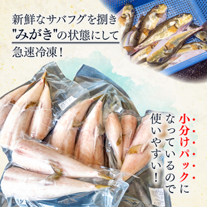 サバフグ むき身 2kg (500g×4パック) 小分け 訳あり不揃い