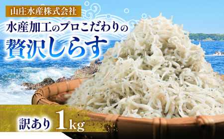 訳あり しらす 1kg 冷凍 ちりめん かちり しらす干し 減塩 極み ごはん 丼 パスタ チャーハン サラダ 魚 料理 山庄 愛知県 南知多町 師崎【配送不可地域：北海道･沖縄･離島】 ( しらす しらす しらす しらす しらす しらす しらす しらす しらす しらす しらす しらす しらす しらす しらす しらす しらす しらす しらす しらす しらす しらす しらす しらす しらす しらす しらす しらす しらす しらす しらす しらす しらす しらす )