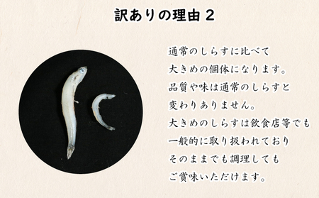 訳あり しらす 1kg 冷凍 ちりめん かちり しらす干し 減塩 極み ごはん 丼 パスタ チャーハン サラダ 魚 料理 山庄 愛知県 南知多町 師崎【配送不可地域：北海道･沖縄･離島】 ( しらす しらす しらす しらす しらす しらす しらす しらす しらす しらす しらす しらす しらす しらす しらす しらす しらす しらす しらす しらす しらす しらす しらす しらす しらす しらす しらす しらす しらす しらす しらす しらす しらす しらす )