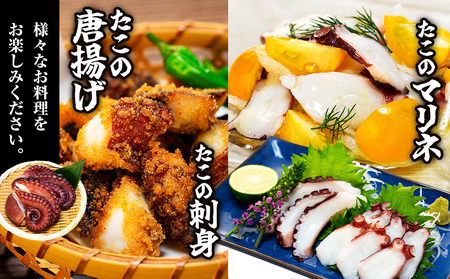 地だこボイル ５パック (100g×5) 冷凍 たこ タコ 蛸 海鮮 海産物 アヒージョ おつまみ 自家製チョジャン付き 愛知県 南知多町