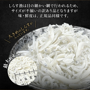 しらす干し 1kg(200g×5) 訳あり ( しらす 小分け 訳あり しらす しらす干し ちりめん 愛知県 南知多町) 