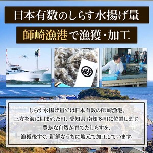 しらす干し 1kg 1箱 訳あり ( しらす 訳あり しらす しらす干し ちりめん 愛知県 南知多町) 