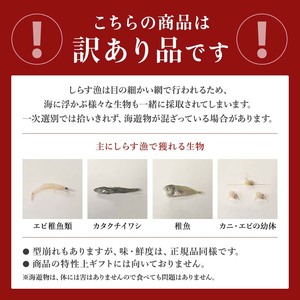 しらす干し 2kg 1kg×2箱 訳あり ( しらす 小分け お試し 訳あり しらす しらす干し ちりめん 愛知県 南知多町) 