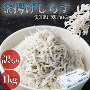 釜揚げしらす 1kg 1箱 訳あり 冷凍 釜揚げ 魚 ご飯のお供 おつまみ おやつ 丼 家庭用 贈答用 プレゼント 愛知県 南知多町 ( しらす しらす しらす しらす しらす しらす しらす しらす しらす しらす しらす しらす しらす しらす しらす しらす しらす しらす しらす しらす しらす しらす しらす しらす しらす しらす しらす しらす しらす しらす しらす しらす しらす しらす )