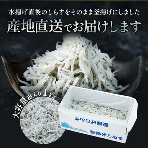 釜揚げしらす 1kg 1箱 訳あり 冷凍 釜揚げ 魚 ご飯のお供 おつまみ おやつ 丼 家庭用 贈答用 プレゼント 愛知県 南知多町 ( しらす しらす しらす しらす しらす しらす しらす しらす しらす しらす しらす しらす しらす しらす しらす しらす しらす しらす しらす しらす しらす しらす しらす しらす しらす しらす しらす しらす しらす しらす しらす しらす しらす しらす )