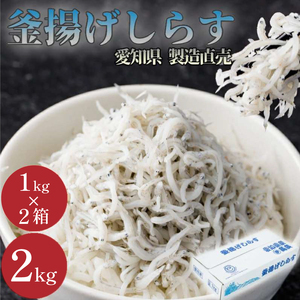 釜揚げしらす 2kg 1kg×2箱 訳あり しらす 訳あり しらす 釜揚げ 釜揚げしらす 愛知県 南知多町