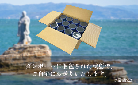 海苔 480枚 (40枚×12本) 国産 味付け 愛知県 南知多町 海藻 海苔 のり 八切り ボトル 大井漁協