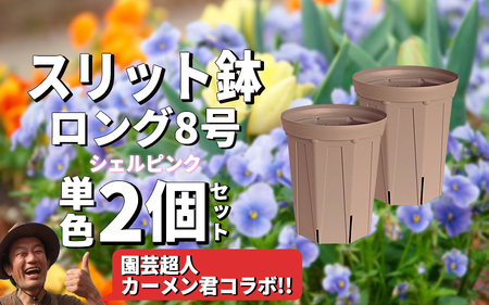スリット鉢2個 8号 シェルピンク