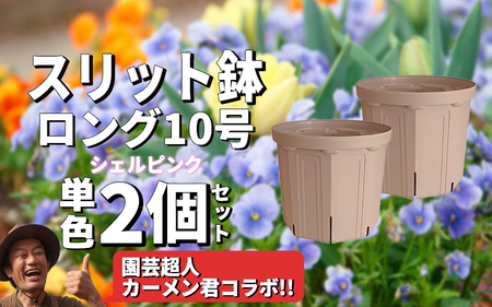 スリット鉢2個 10号 シェルピンク