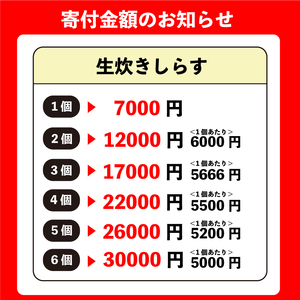 生炊きしらす 贈答用 210g×2 冷凍 しらす佃煮