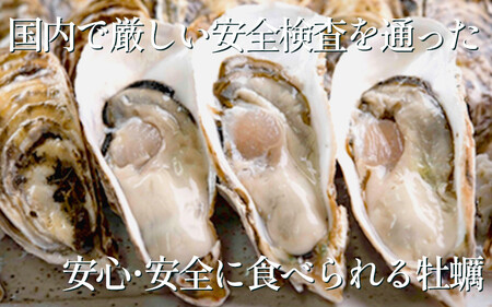 牡蠣 かき 生食用 冷蔵 40個 朋輩牡蠣 愛知 南知多