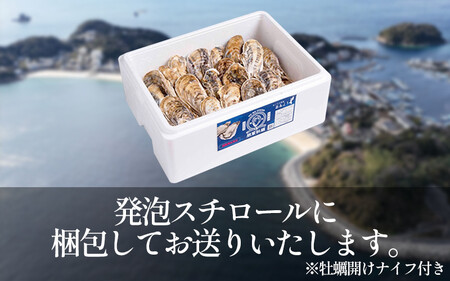 牡蠣 かき 生食用 冷蔵 40個 朋輩牡蠣 愛知 南知多