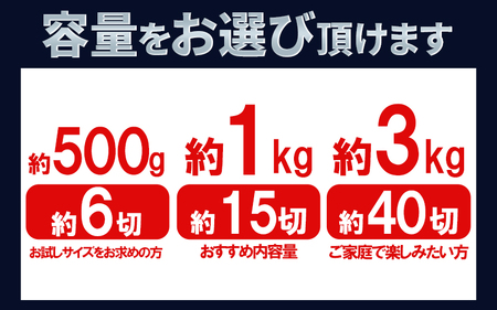 訳あり 塩サバ 切り身 約3kg (40切前後入り) 冷凍 サバサンド サバカレー サバ唐揚げ サバ サバ 鯖 鯖 鯖 さば さば