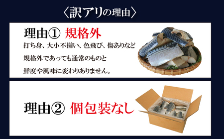 訳あり 塩サバ 切り身 約3kg (40切前後入り) 冷凍 サバサンド サバカレー サバ唐揚げ サバ サバ 鯖 鯖 鯖 さば さば