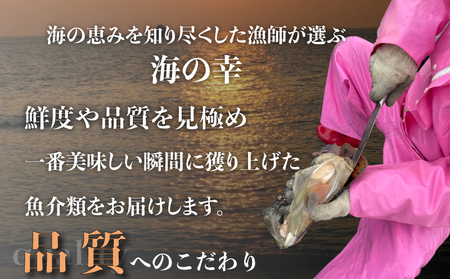愛知県産平貝(タイラギ)干物 (塩味 醤油味 各1パック)セット冷凍 干物 貝 魚介類 醤油 塩 しお しょうゆ 平貝 かい カイ 魚貝
