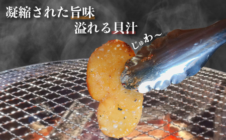 愛知県産平貝(タイラギ)干物 (塩味 醤油味 各1パック)セット冷凍 干物 貝 魚介類 醤油 塩 しお しょうゆ 平貝 かい カイ 魚貝