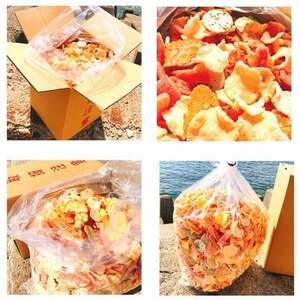 【定期便 毎月3回】 えびせんべい お得箱 4.5kg (1回1.5kg) 大量 詰め合わせ 自家製 われせん 愛知県 南知多町 えびせんべい