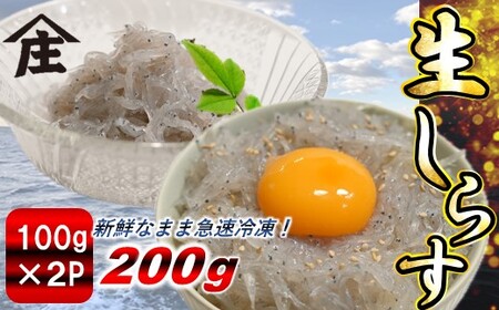 生しらす 200g ( 100g × 2袋 ) 冷凍 刺身 真空パック ごはん 丼 しらす サラダ 魚 料理 愛知県 南知多町 師崎 シラス 小魚