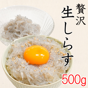 生しらす 500g ( 100g × 5袋 ) 冷凍 刺身 真空パック ごはん 丼 サラダ 魚 料理 愛知県 南知多町 師崎 シラス 小魚